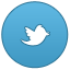 Twitter link